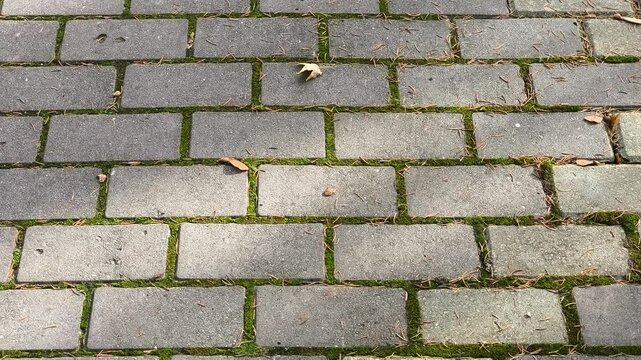 A brick walkway with leaves on the ground