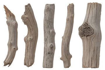 Branch fragments wood texture natural material for crafts and design isolated on transparent background