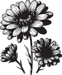 Black and white flower vector illustration: daisy clipart, floral design element eps silhouette
