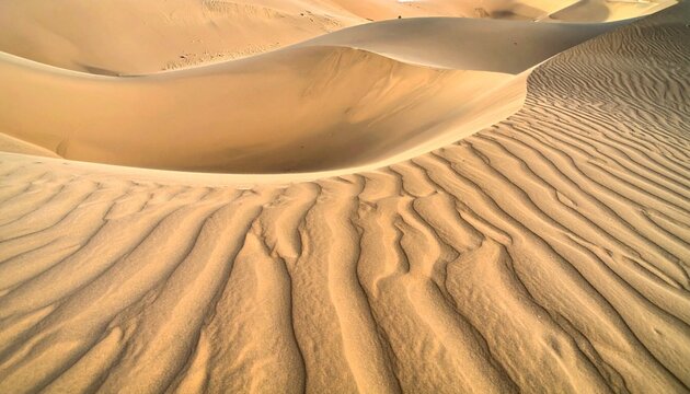 Desert Sand Dunes with Ripple Patterns and Warm Golden Light During Sunrise or Sunset