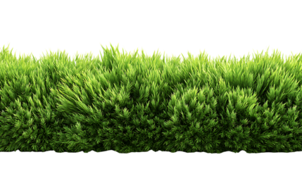 A lush green hedge isolated on transparent background
