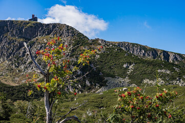 Sudetes, Giant Mountains, Śnieżne Kotły, Schneegruben, Szklarka, Kamienczyk, wodospad, Karkonosze, Sudety