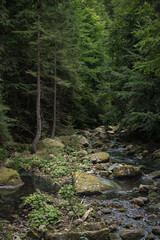 Sudetes, Giant Mountains, Śnieżne Kotły, Schneegruben, Szklarka, Kamienczyk, wodospad, Karkonosze, Sudety