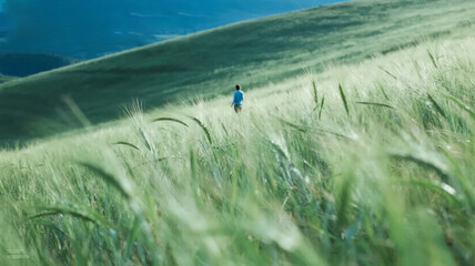 Start of Autumn Solar Term Green Wheat Field Lonely Thinking Life Philosophy Background