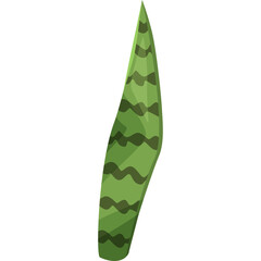 A single green snake plant leaf with dark green stripes against a white background showing its pointed shape and elegant form ideal for botanical illustrations or graphic design elements