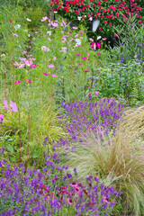 横浜里山ガーデンの秋の花
