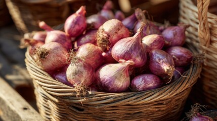 Fresh Shallots in a Rustic Basket Under Natural Light Perfect for Culinary Arts, Food Styling, Organic Produce, or Market Scenes in a Farm Environment