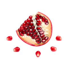Vibrant pomegranate wedge with juicy seeds isolated