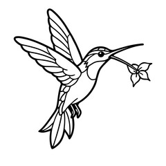 Fototapeta premium hummingbird flying vector illustration