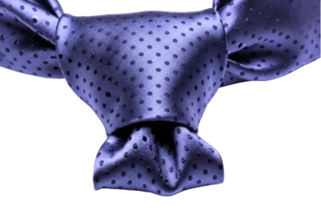 Close-up of a purple polka dot formal wear silk cravat tie on a transparent background