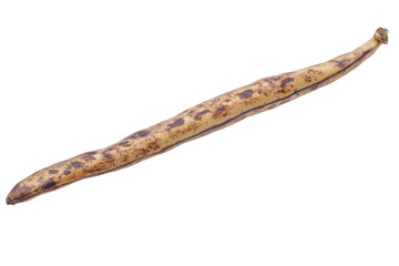 Obraz premium Dried long bean isolated on transparent background. Long bean isolated on white background.