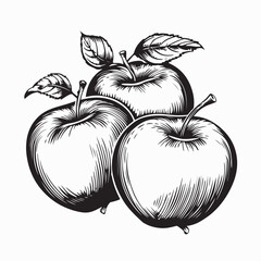 Healthy Fruits Three Apples Vector Illustration on white background