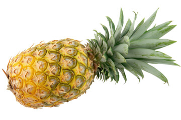 Ripe pineapples with green leaves isolated on transparent background. Ripe pineapple isolated on white background.