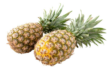 Ripe pineapples with green leaves isolated on transparent background. Ripe pineapple isolated on white background.