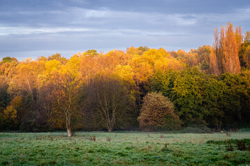 Paysage d'automne