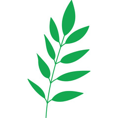 Green Leaf Branch With Multiple Leaves On Transparent Background For Design And Decoration