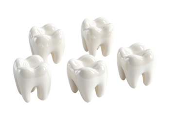 Realistic human molar teeth isolated on transparent background. Set of dental premolar teeth isolated on white background, 3d rendering.