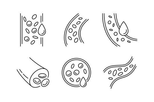 Blood vessel line icons set. Human artery and vein symbol. Blood hemoglobin sign. Healthy heart system control. Healthy vessel icon. Vector illustration isolated on white background.