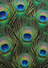 Fototapeta premium Detailed Colorful Peacock Feather Eye Pattern Background Texture