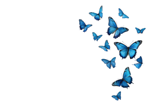 A swarm of blue butterflies flying upwards isolated on transparent background. Butterfly flying isolated on white background. - Powered by Adobe
