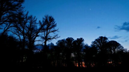 Beautiful twilight forest with silhouettes of trees under a blue evening sky and crescent moon. Generative AI.