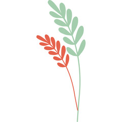 Doodle Style Abstract Floral Elements Delicate Coral Orange And Pale Green Leaves With Thin Stems On White Transparent Background Minimalist Botanical Illustration Organic Shapes