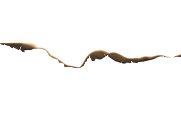 Burned Torn Paper with Scorched Edges and Black Center on a White Background	