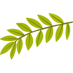 Green Leafy Branch With Multiple Leaves on a Transparent Background Simple Botanical Element Representing Nature and Growth