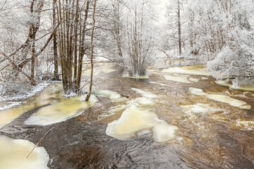 Ice floes in a river with frosty trees in the winter