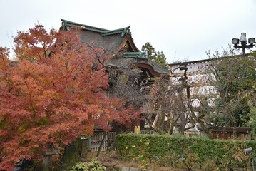 雨あがりの北野天満宮　濡れたモミジと三光門(京都市上京区)
