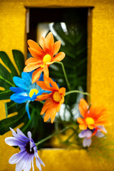 Color Framed: A Bloom Beyond the Box