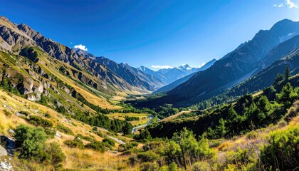Fototapeta premium Majestic Mountain Valley Vista Under a Bright Blue Sky with Sunlit Golden Grasslands and Lush Green Trees in the Distance
