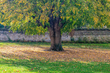 park and residence at the Bec Hellouin Abbey