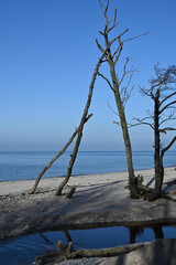 View of the Baltic Sea coast.