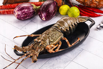 Raw wild fresh spiny lobster