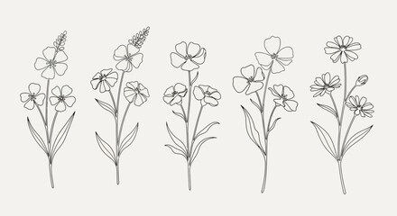 Botanical line art illustration of five different flower stems with leaves on a beige background.