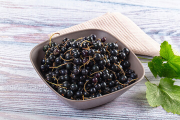 Ripe fresh black currants branches