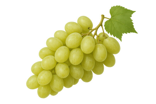 Green grapes bunch with a fresh vine leaf, displaying healthy and sweet fruit on transparent background