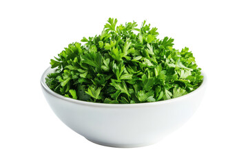 Fresh green parsley herb in a bowl isolated on transparent background. Green parsley in a bowl isolated on white background.