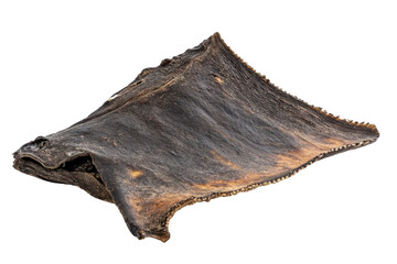 Dried stingray fish head isolated on transparent background. Dried stingray fish isolated on white background.