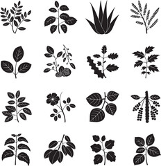 Black and white set of leaf and floral silhouettes for vector nature design elements