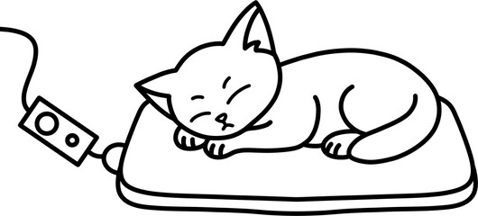 전기장판 고양이 흑백