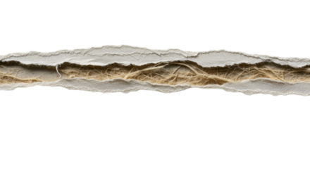 Extreme macro of a thick, off-white paper strip with dramatic raking light highlighting torn edges revealing fibrous strands, deep creases, and folds, on a transparent background. Concept of textural