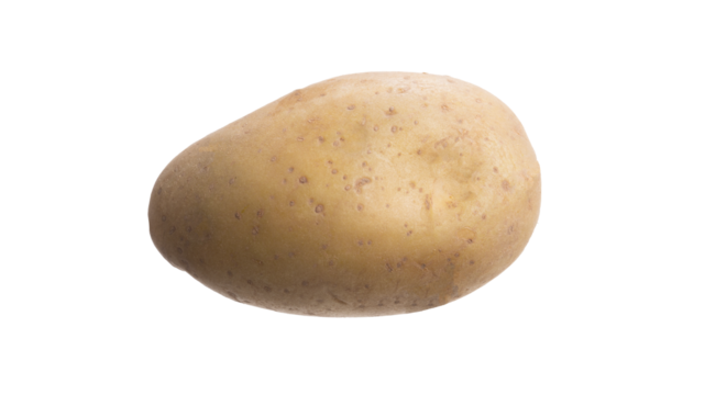 Potato isolated on white background showcasing its natural form and texture