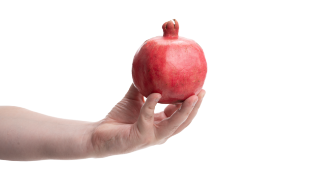 Hand holding a bright red pomegranate fruit against a plain background in a simple and clear setting