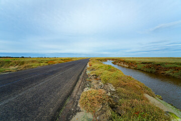 Tidal road of the Vanléee salt marsh in Cotentin coast. Normandy Region