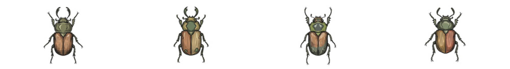 Hand sketched exotic beetles collection isolated