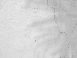 Background shadow white light wall floor backdrop overlay leaf mockup summer sunight overlay nature on room cement abstract blur muckup effect grey minimal platform for presentation product