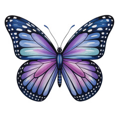 Obraz premium Watercolor Butterfly with Gradient Blue Wings