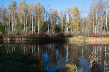 colorful autumn landscape with calm water surface, colorful reflections